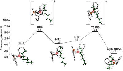Mechanistic insights on 1-butene polymerization catalyzed by homogeneous single-site catalysts: a DFT computational study